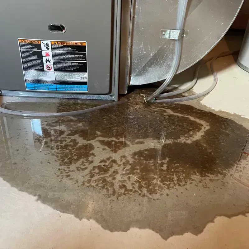 Appliance Leak Cleanup in Fort Smith, AR